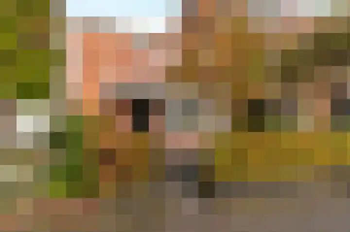 Heijermansstraat 27 Harderwijk thumbnail 31