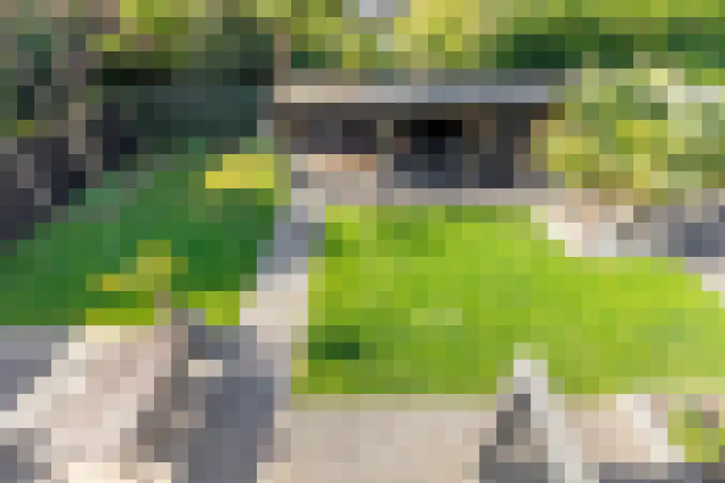 Heijermansstraat 4 Doetinchem thumbnail 43