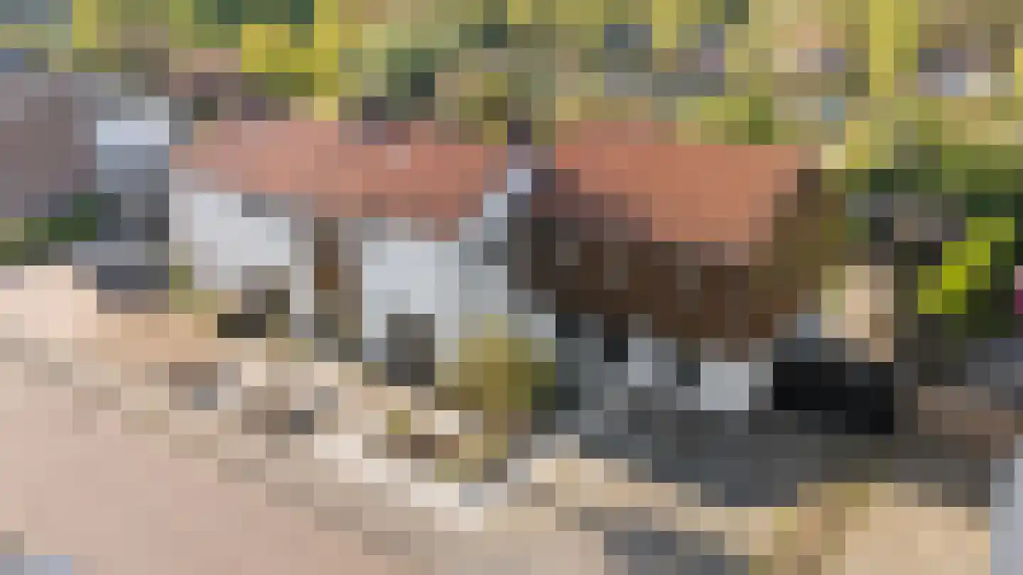 Heijermansstraat 4 Doetinchem thumbnail 5