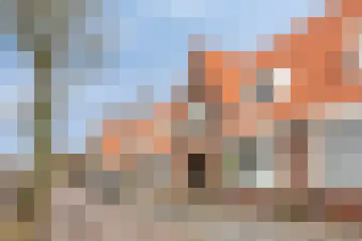 Heijermansstraat 54 Zaandam thumbnail 41