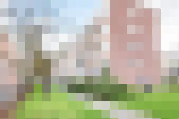 Heijermansstraat 59 Doetinchem thumbnail 6