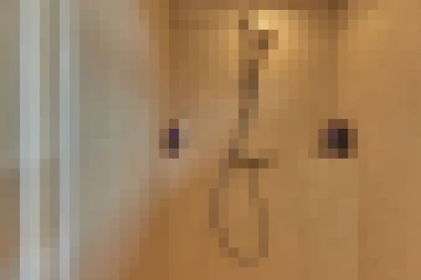 Heijermansstraat 8 Harderwijk thumbnail 22