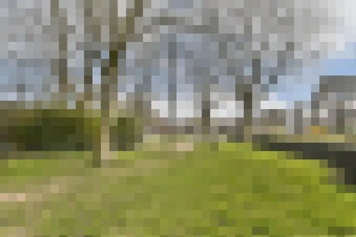 Heijermansstraat 9 Dordrecht thumbnail 25