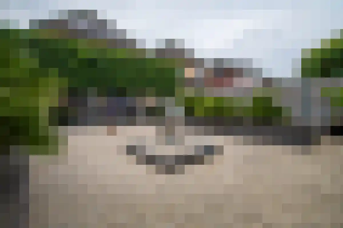 Heijerveld 14 Ittervoort thumbnail 10