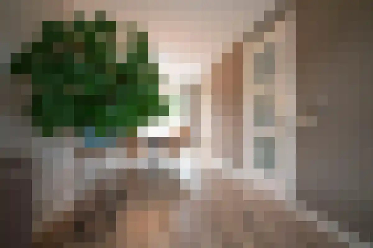 Heijerveld 14 Ittervoort thumbnail 18
