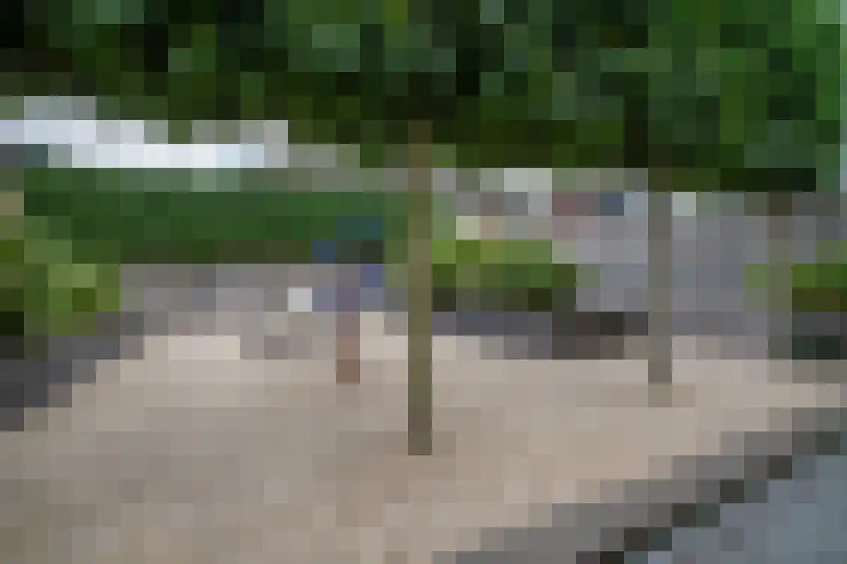 Heijerveld 14 Ittervoort thumbnail 26
