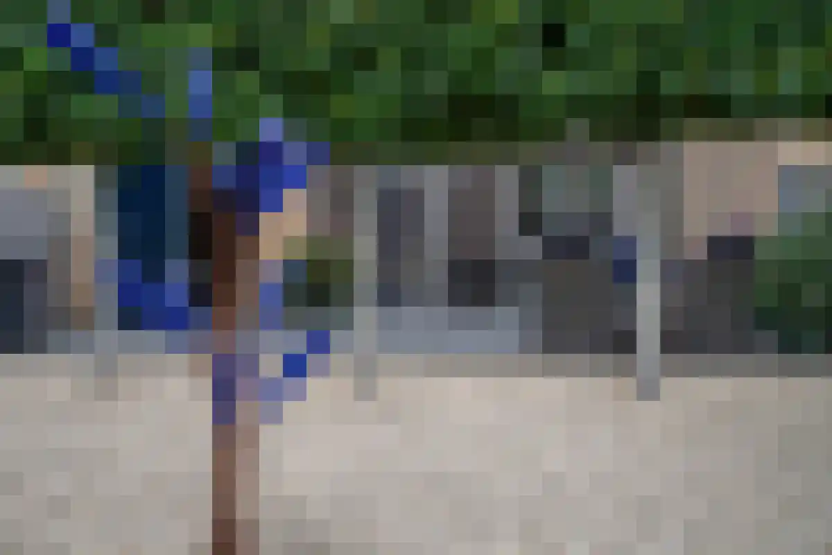 Heijerveld 14 Ittervoort thumbnail 31