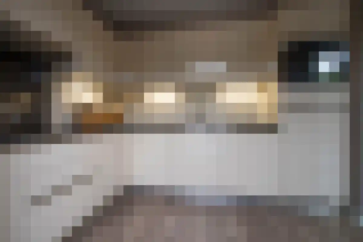 Heijerveld 14 Ittervoort thumbnail 33