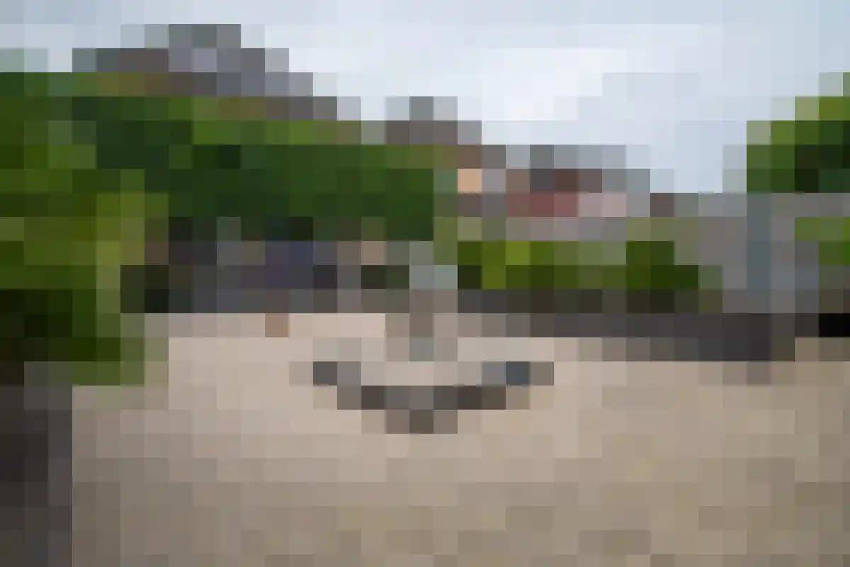 Heijerveld 14 Ittervoort thumbnail 4