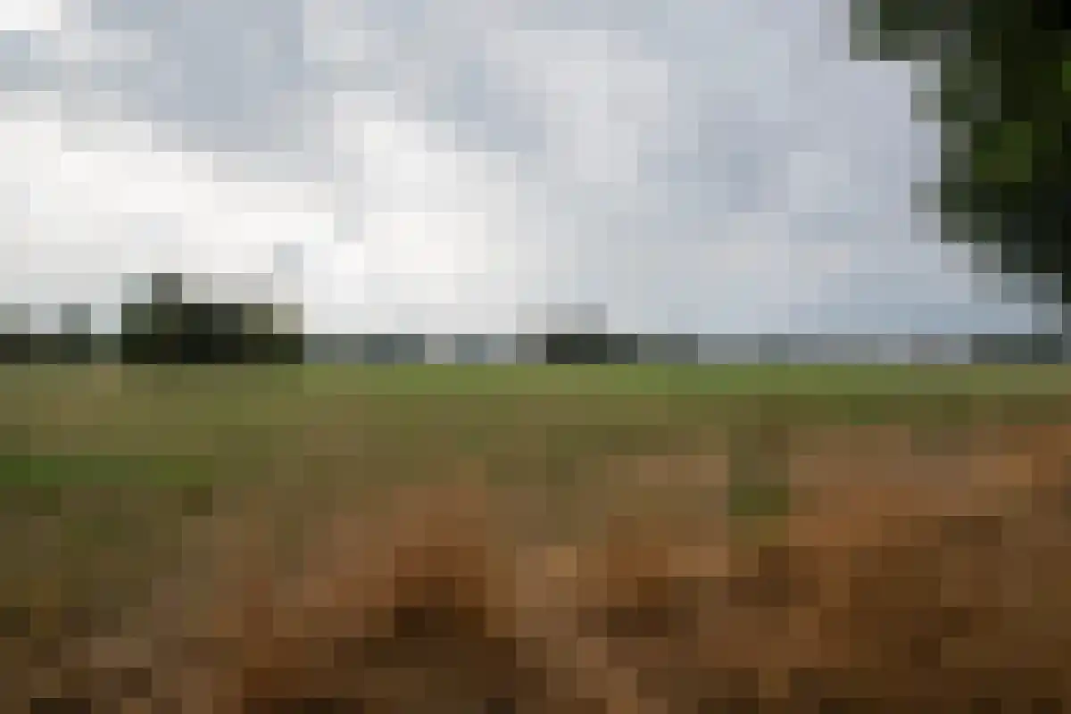 Heijerveld 14 Ittervoort thumbnail 47