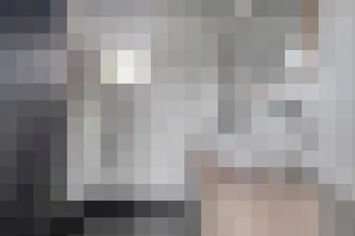 Heijhorst 11 Scherpenzeel thumbnail 12