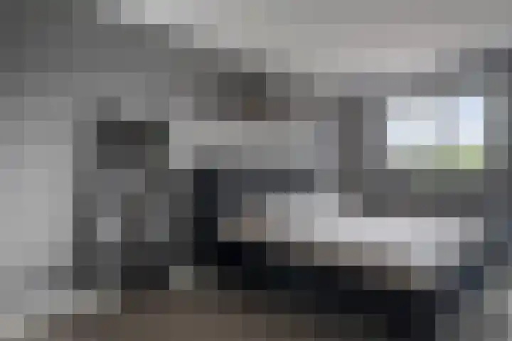 Heijhorst 11 Scherpenzeel thumbnail 15
