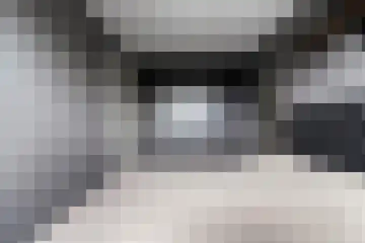 Heijhorst 11 Scherpenzeel thumbnail 17