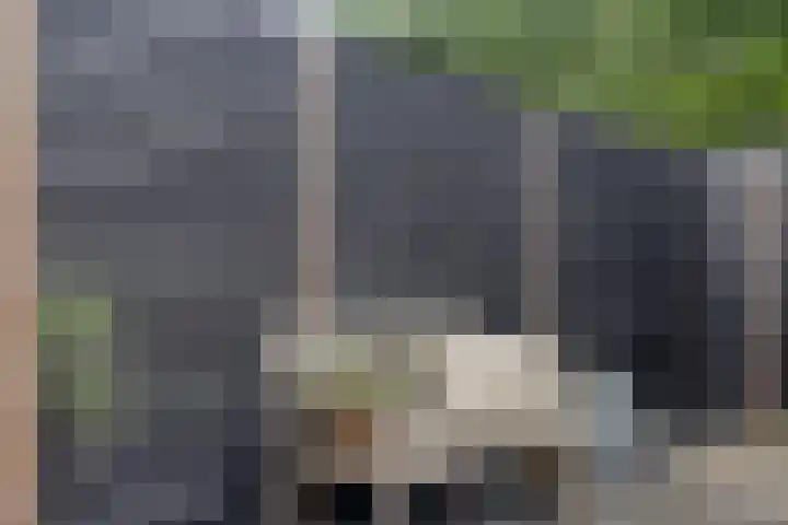 Heijhorst 11 Scherpenzeel thumbnail 26