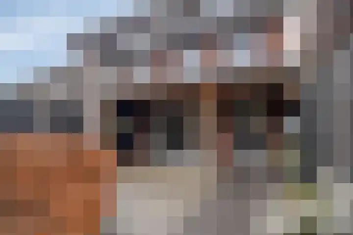 Heijhorst 11 Scherpenzeel thumbnail 27