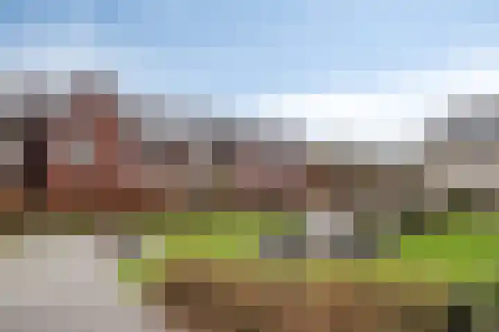 Heijhorst 11 Scherpenzeel thumbnail 28