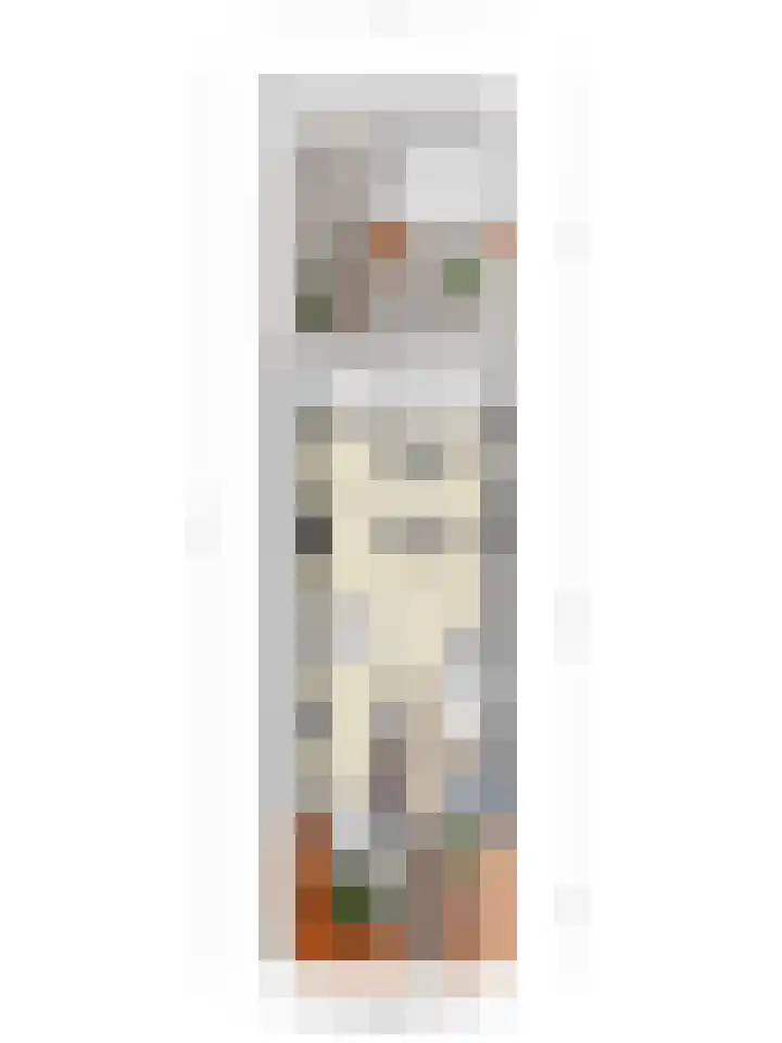 Heijhorst 11 Scherpenzeel thumbnail 36