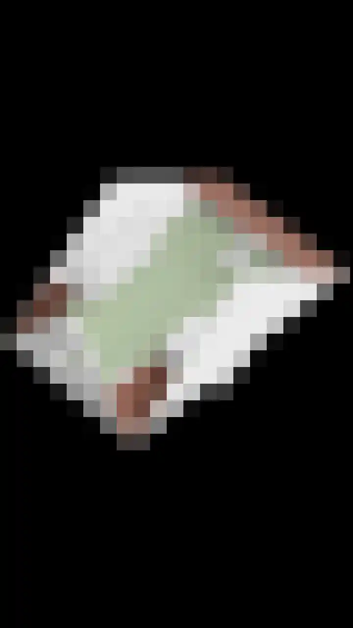 Heijhorst 11 Scherpenzeel thumbnail 39
