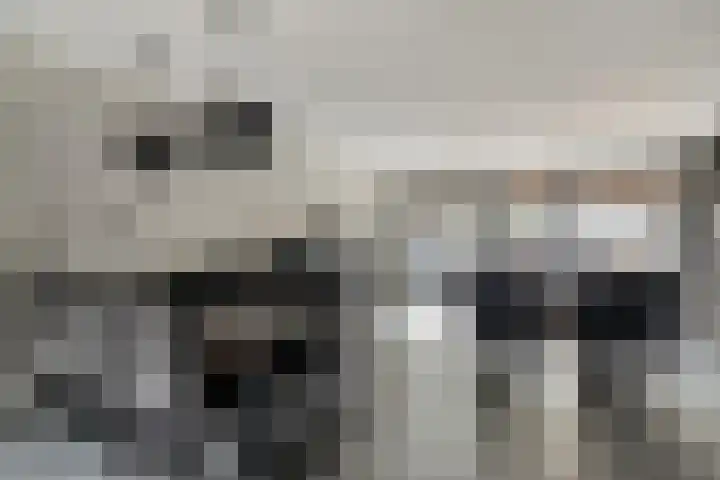 Heijhorst 11 Scherpenzeel thumbnail 4