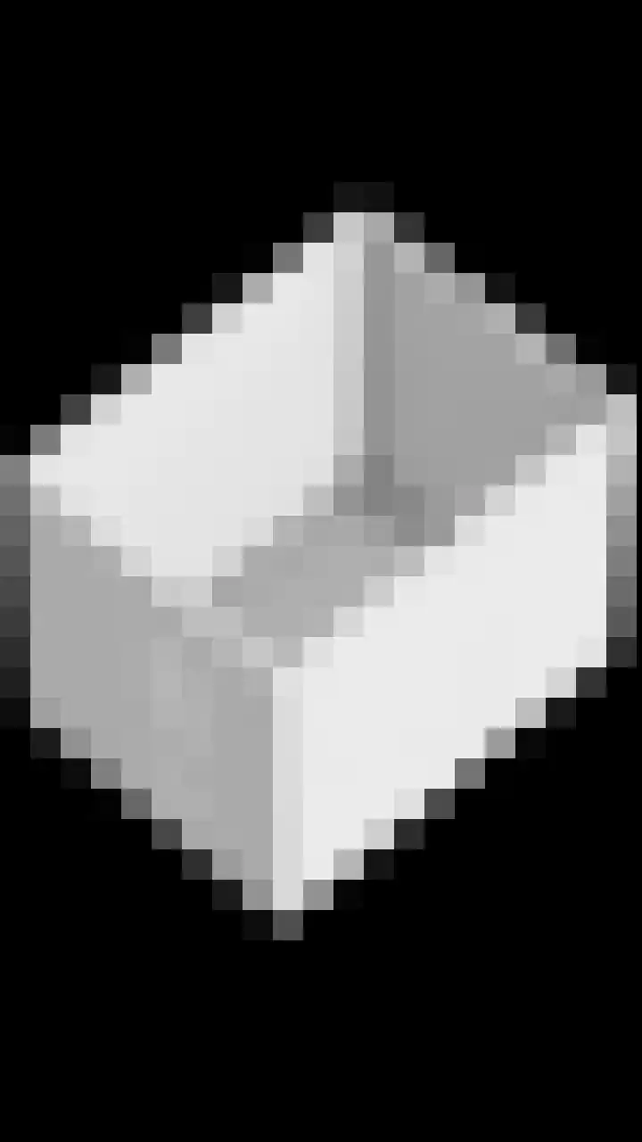 Heijhorst 11 Scherpenzeel thumbnail 40