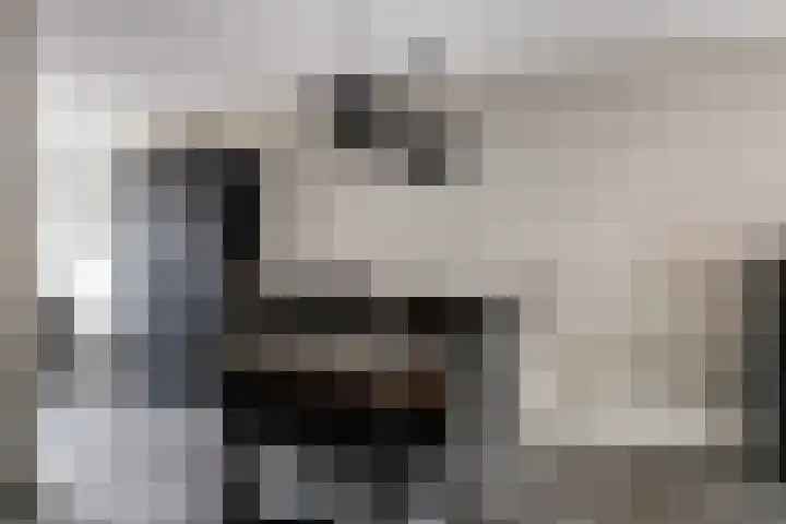 Heijhorst 11 Scherpenzeel thumbnail 8