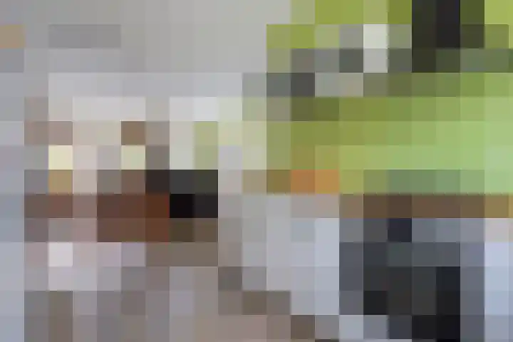 Heijhorst 13 Scherpenzeel thumbnail 10