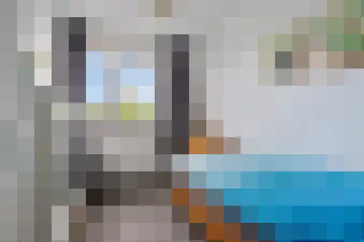 Heijhorst 13 Scherpenzeel thumbnail 15