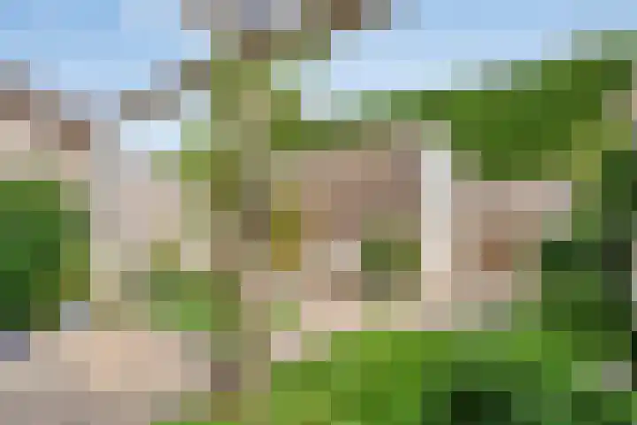 Heijhorst 13 Scherpenzeel thumbnail 20
