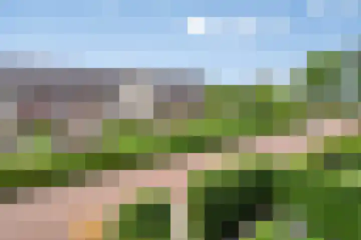 Heijhorst 13 Scherpenzeel thumbnail 24