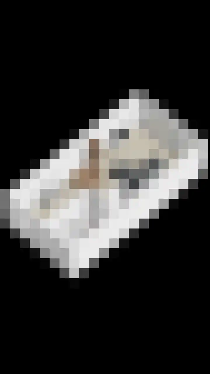 Heijhorst 13 Scherpenzeel thumbnail 31