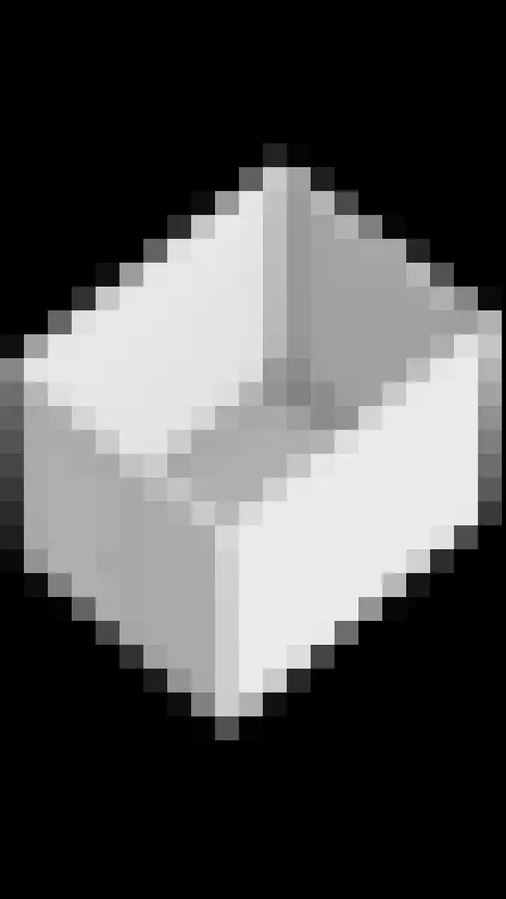 Heijhorst 13 Scherpenzeel thumbnail 34