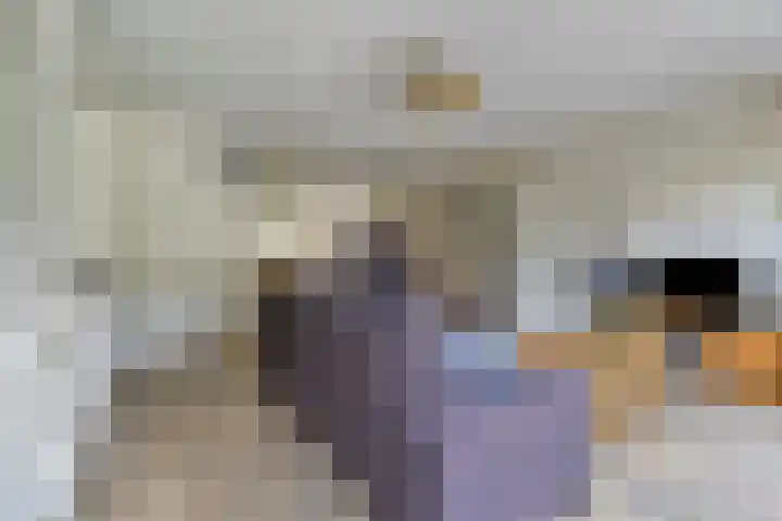 Heijhorst 13 Scherpenzeel thumbnail 5