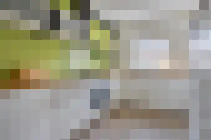 Heijhorst 13 Scherpenzeel thumbnail 9