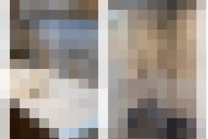 Heijhorst 41 Scherpenzeel thumbnail 17