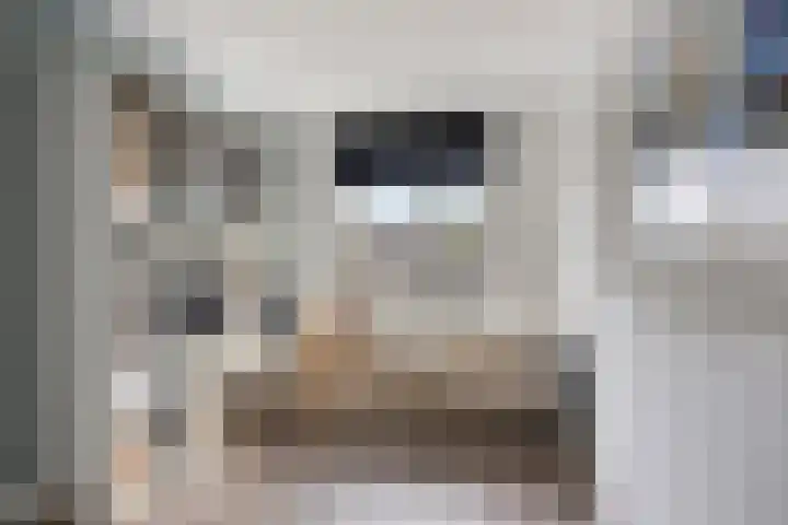 Heijhorst 41 Scherpenzeel thumbnail 18