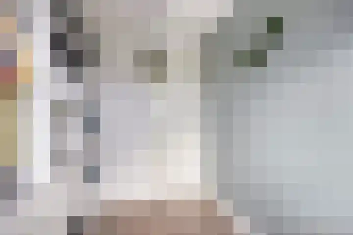 Heijhorst 41 Scherpenzeel thumbnail 21