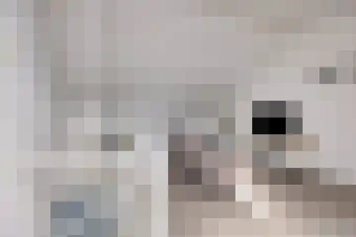 Heijhorst 41 Scherpenzeel thumbnail 22