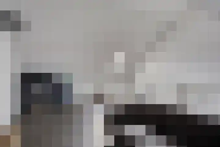 Heijhorst 41 Scherpenzeel thumbnail 23