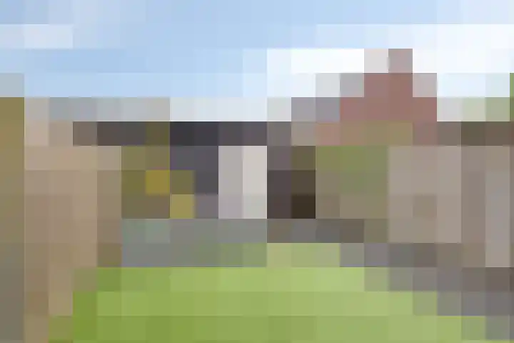 Heijhorst 41 Scherpenzeel thumbnail 24