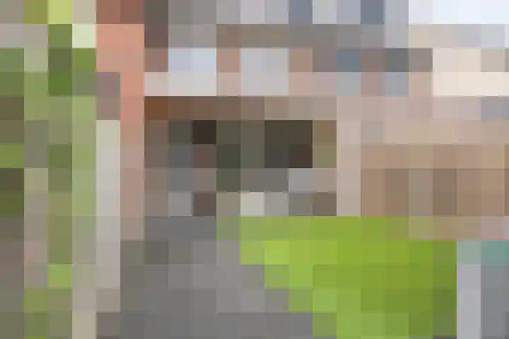 Heijhorst 41 Scherpenzeel thumbnail 25
