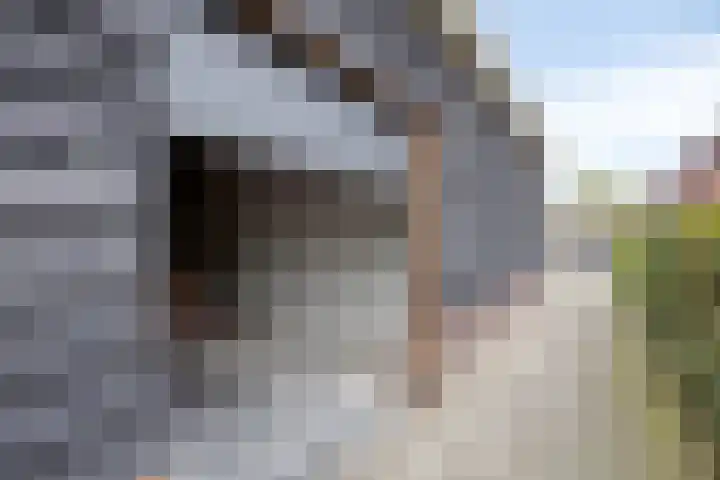 Heijhorst 41 Scherpenzeel thumbnail 29