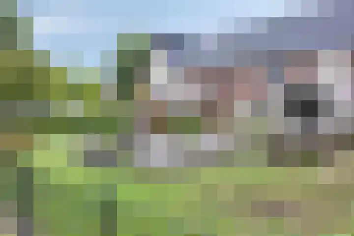 Heijhorst 41 Scherpenzeel thumbnail 32