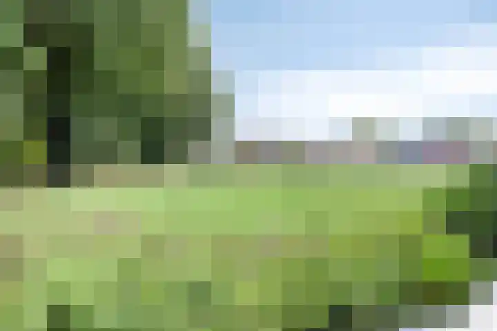 Heijhorst 41 Scherpenzeel thumbnail 33