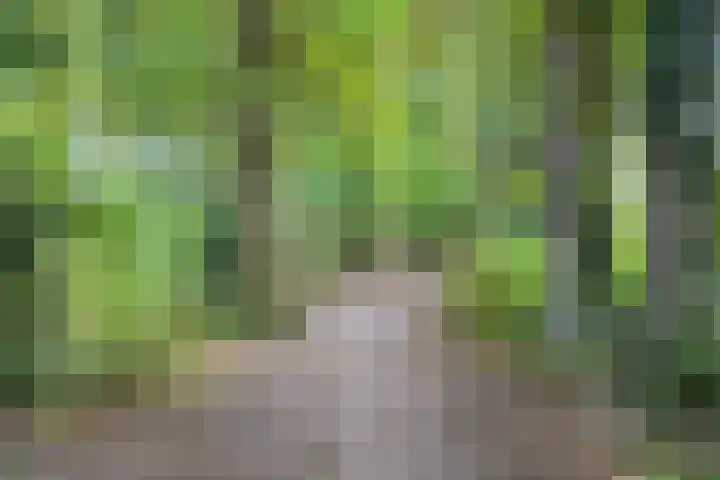 Heijhorst 41 Scherpenzeel thumbnail 34