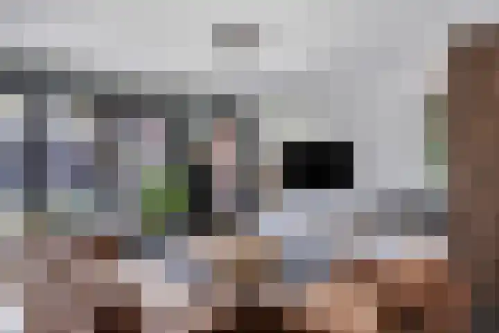 Heijhorst 41 Scherpenzeel thumbnail 4