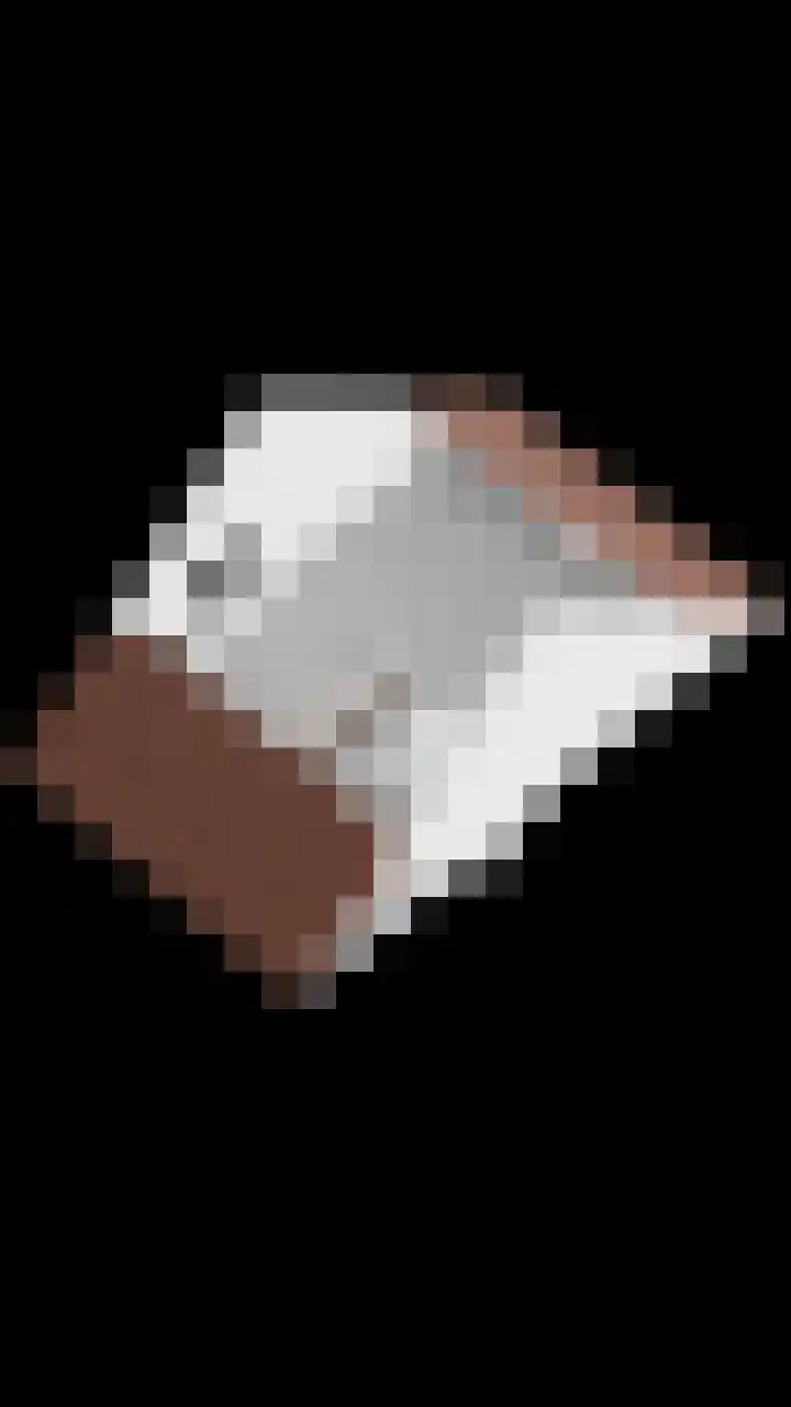 Heijhorst 41 Scherpenzeel thumbnail 42