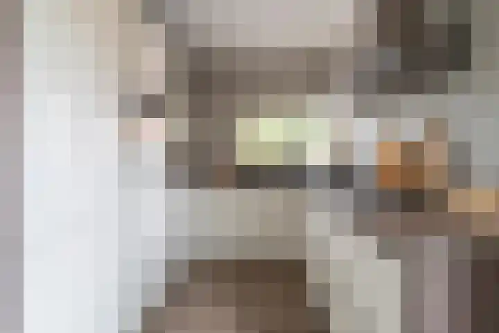 Heijhorst 51 Scherpenzeel thumbnail 11