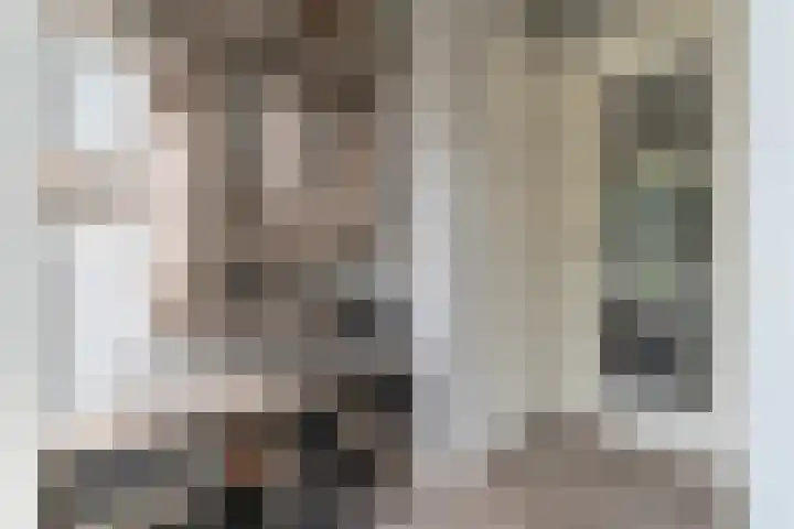 Heijhorst 51 Scherpenzeel thumbnail 13