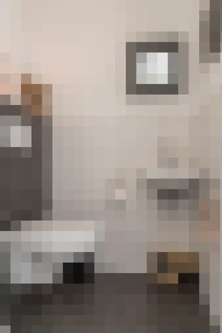 Heijhorst 51 Scherpenzeel thumbnail 14
