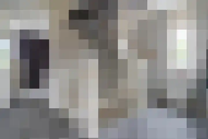 Heijhorst 51 Scherpenzeel thumbnail 15